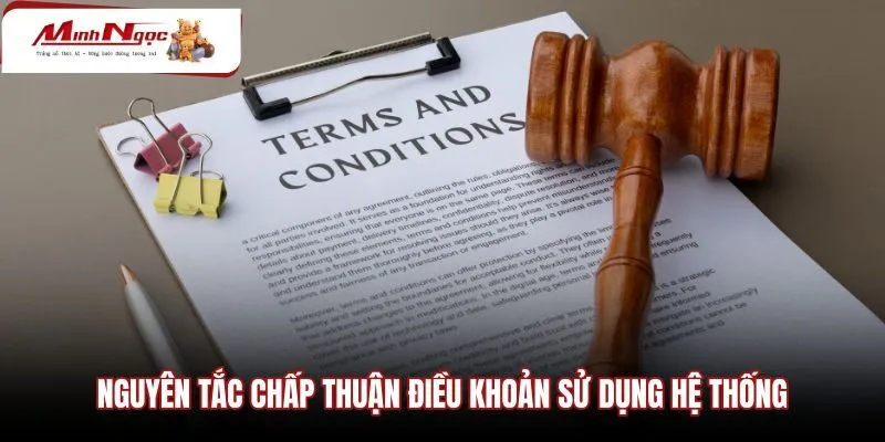 nguyen-tac-chap-thuan-dieu-khoan-su-dung-he-thong Nguyên tắc chấp thuận điều khoản sử dụng khi truy cập